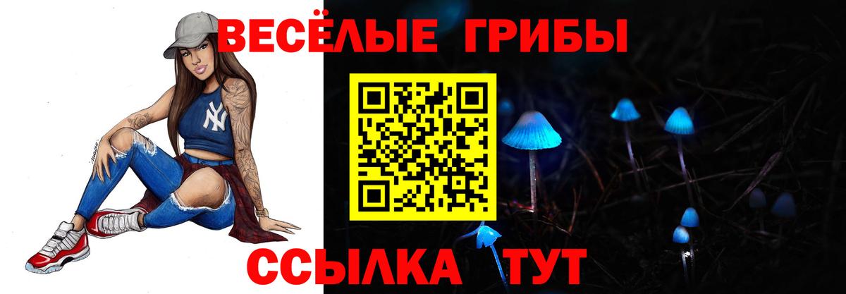 Псилоцибиновые грибы Psilocybine cubensis  Вход с VPN  Псилоцибиновые грибы прущие грибы  Партизанск 